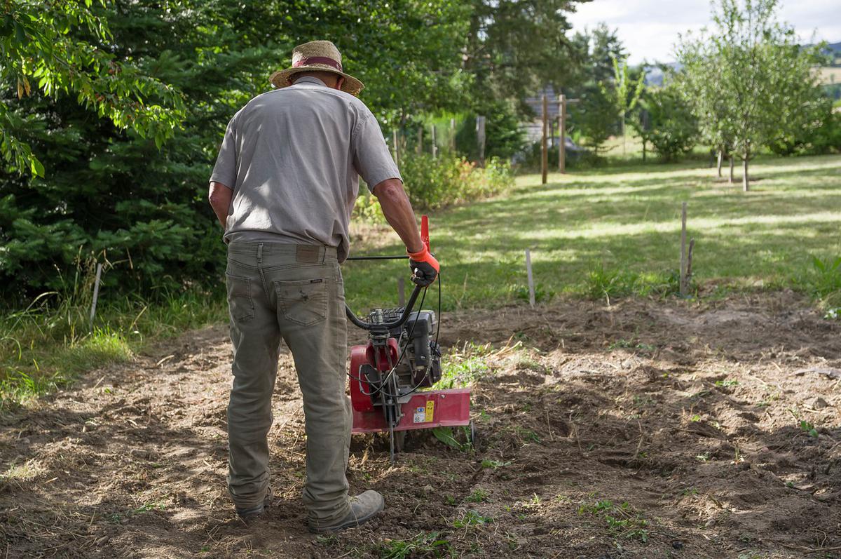 Kalendarz biodynamiczny na kwiecień 2022 Kiedy i co wykonać w ogrodzie