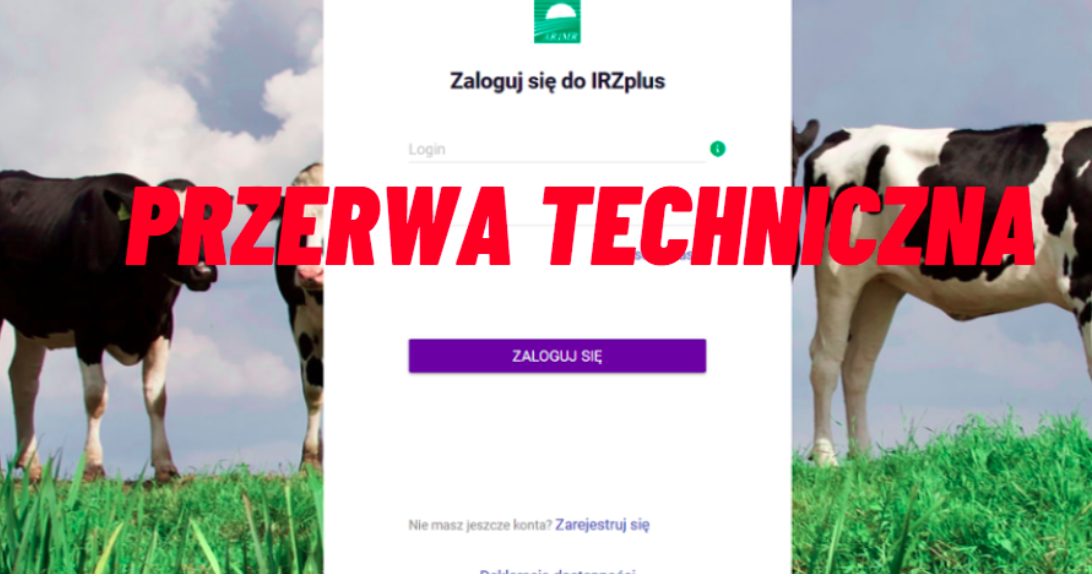Aplikacja IRZ Plus nadal nie działa. Jak zgłosić zdarzenie?