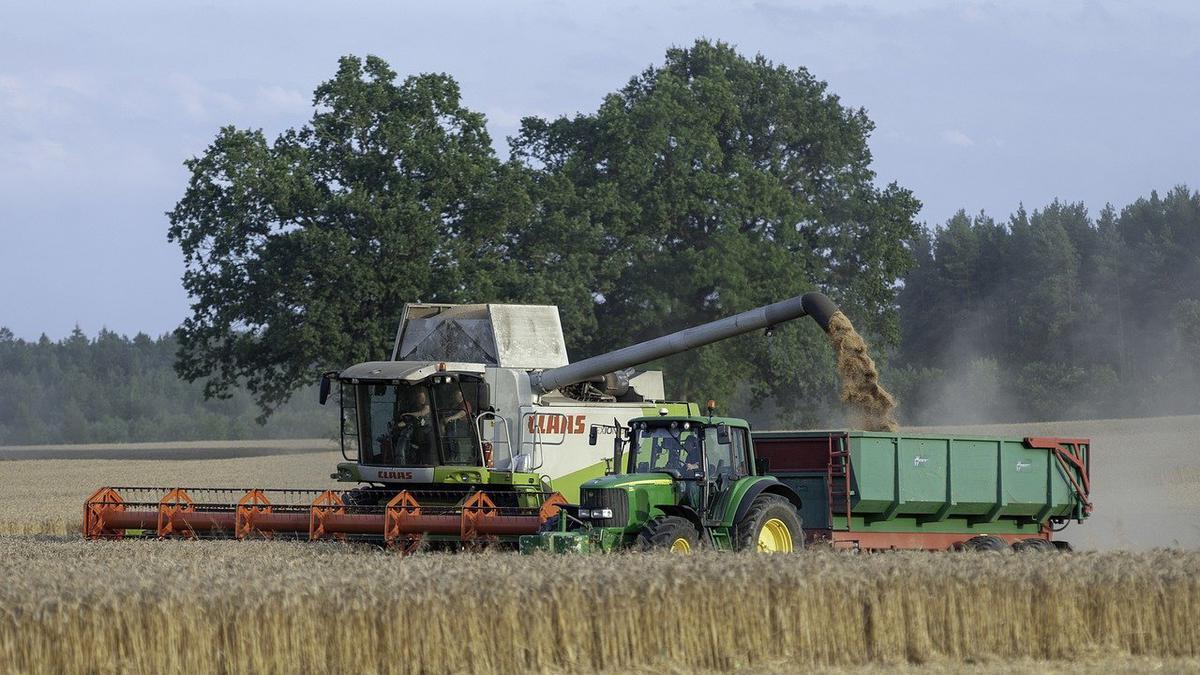 Ceny Zbóż Idą W Górę Wyraźny Wzrost Cen Bydła I Tuczników Raport Rynkowy Z 1208 7300