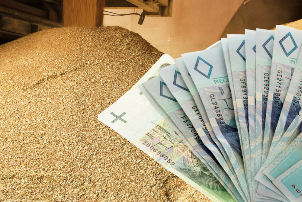 Do Kiedy Wnioski Do Materiału Siewnego Wycofać czy nie? Do kiedy można składać wnioski o dopłaty do materiału