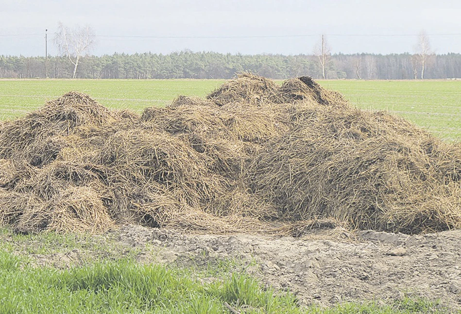 Jak uzyskać dotacje na płytę obornikową lub zbiornik na gnojowicę?