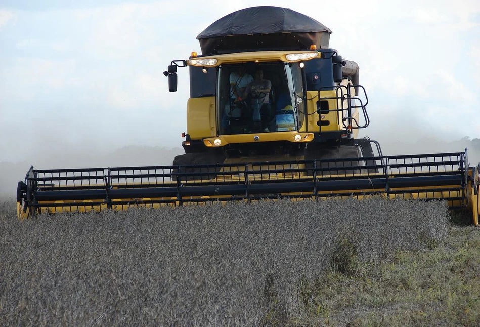 Bez polskiej soi nie jesteśmy gotowi na zakaz stosowania pasz GMO