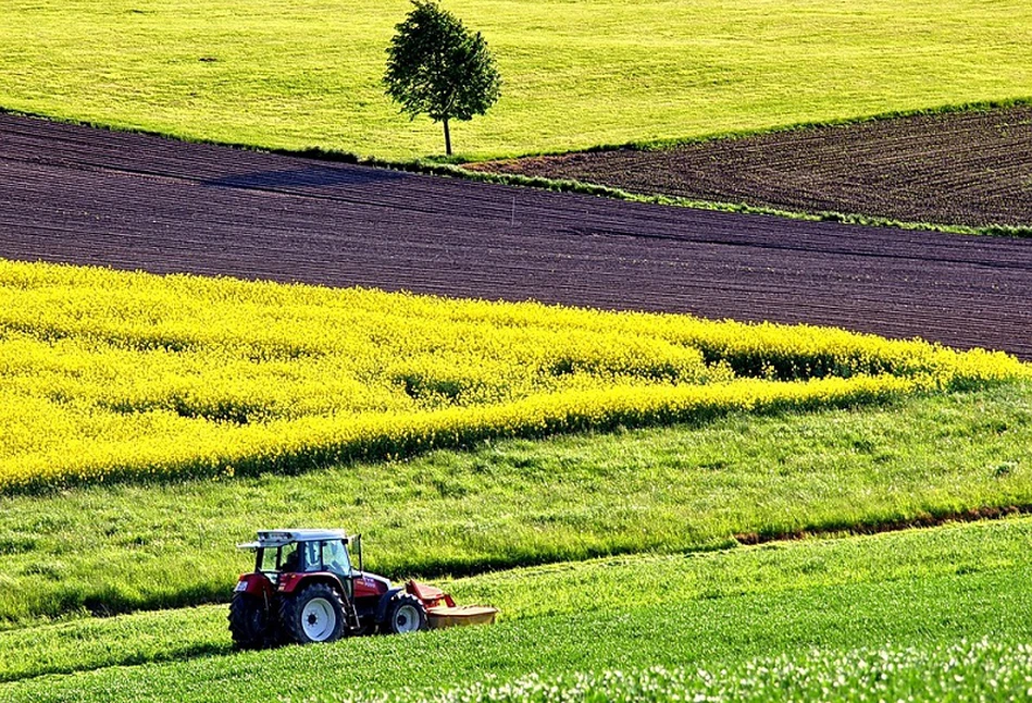 Dopłaty bezpośrednie 2023: są zmiany ws. ugorowania, dywersyfikacji i zmianowania. Jakie?