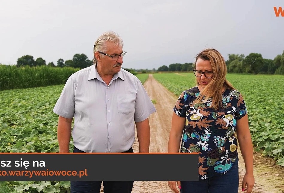 Zapraszamy na czwarte kłeckie ogórkobranie do Michalczy!