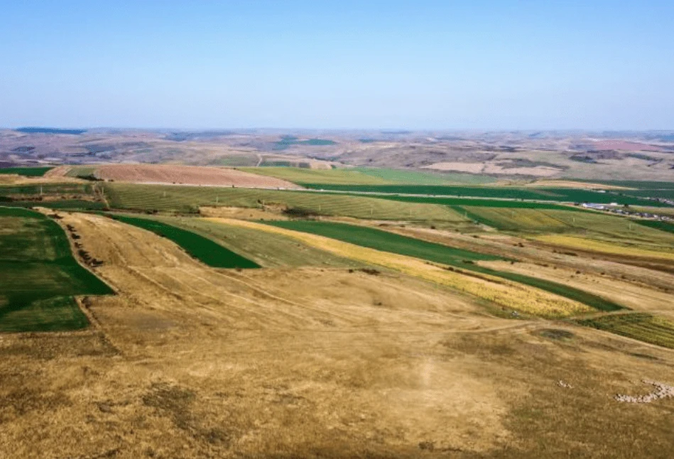 Dzierżawa gruntów rolnych z zasobów Skarbu Państwa - będą nowe zasady. Zobacz jakie!