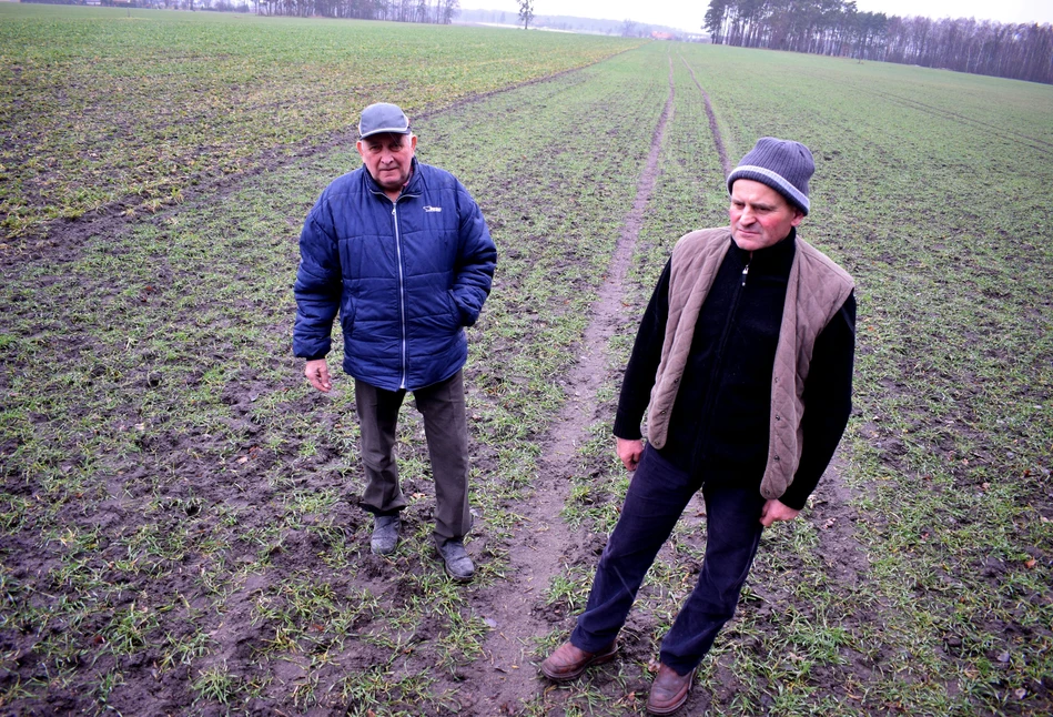 Zwierzyna niszczy nie tylko uprawy. Rolnik na naprawę maszyny rolniczej wydał 40 tys. złotych