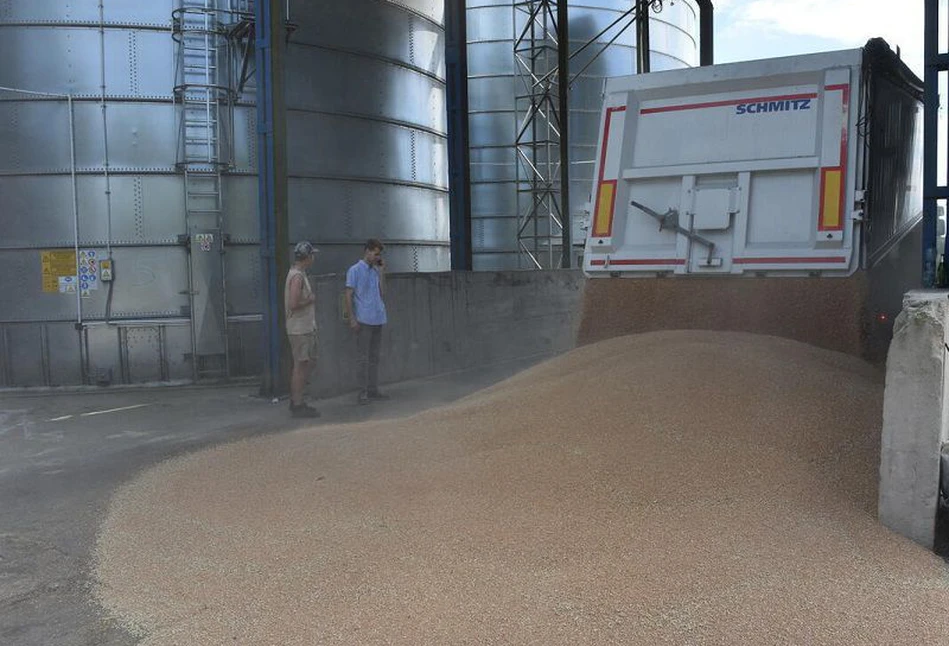 U rolników zalega 2,5 mln ton zbóż. Ceny skupu drastycznie zaniżane