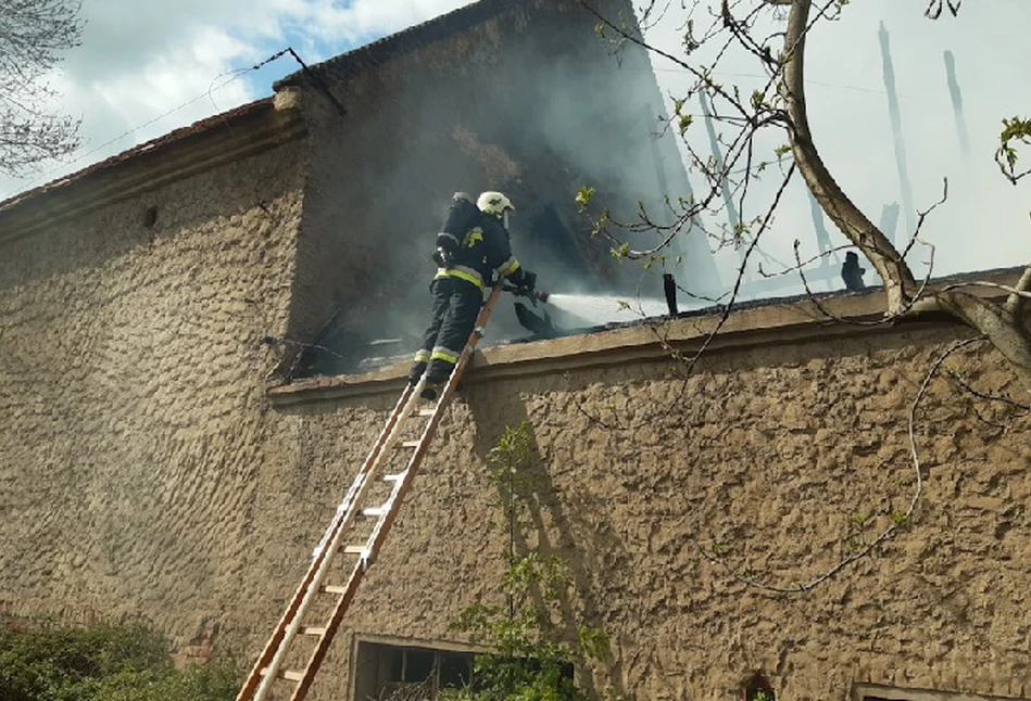 11 zastępów straży gasiło pożar chlewni koło Nysy