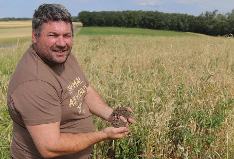 Uprawa bezorkowa z międzyplonami. Strip – till z GPS receptą na suszę