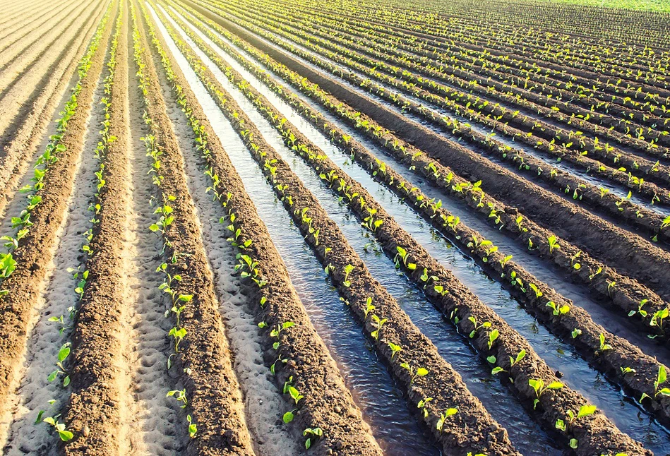 Zmiany w zasadach finansowania - wzrośnie też wysokość wsparcia