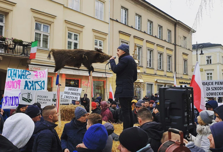 Protest rolników pod PZŁ. Żądają odstrzału dzików i pieniędzy za szkody łowieckie