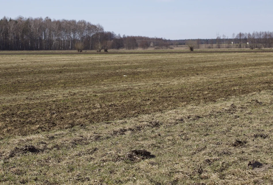 Różny wpis w księgach i ewidencji – do kogo należy ziemia?