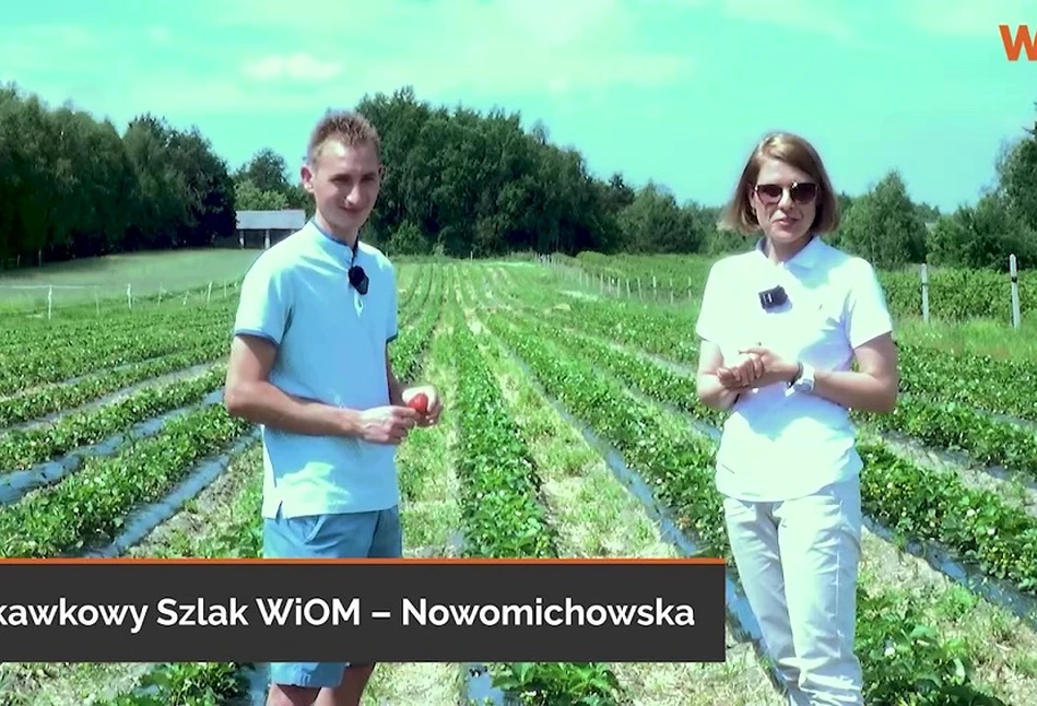 Farma Mój Owoc - To nowa nazwa gospodarstwa prowadzonego przez Mateusza Maruszewskiego