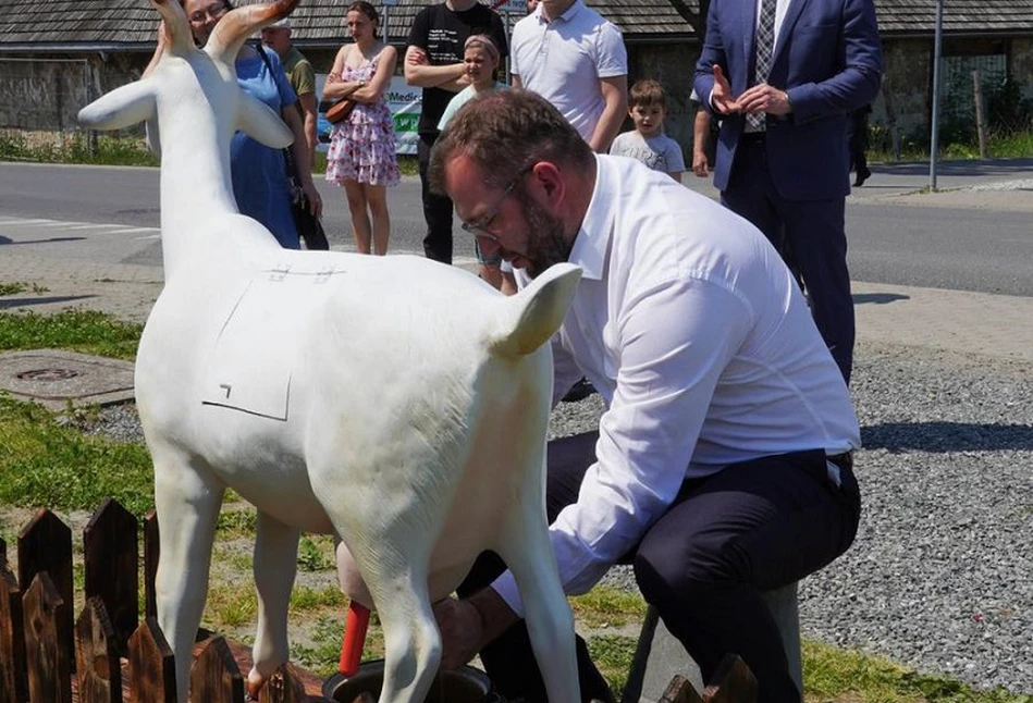 Były minister rolnictwa miał wydoić kozę. Jak mu poszło? [WIDEO]