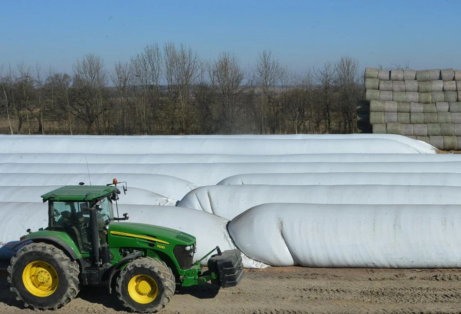 Rolnik z Lubelszczyzny przechowuje 12 tys. ton kukurydzy w rękawie foliowym