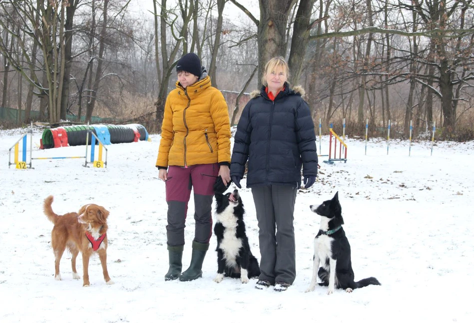 Wyszkolone psy odnajdą zakażone dziki