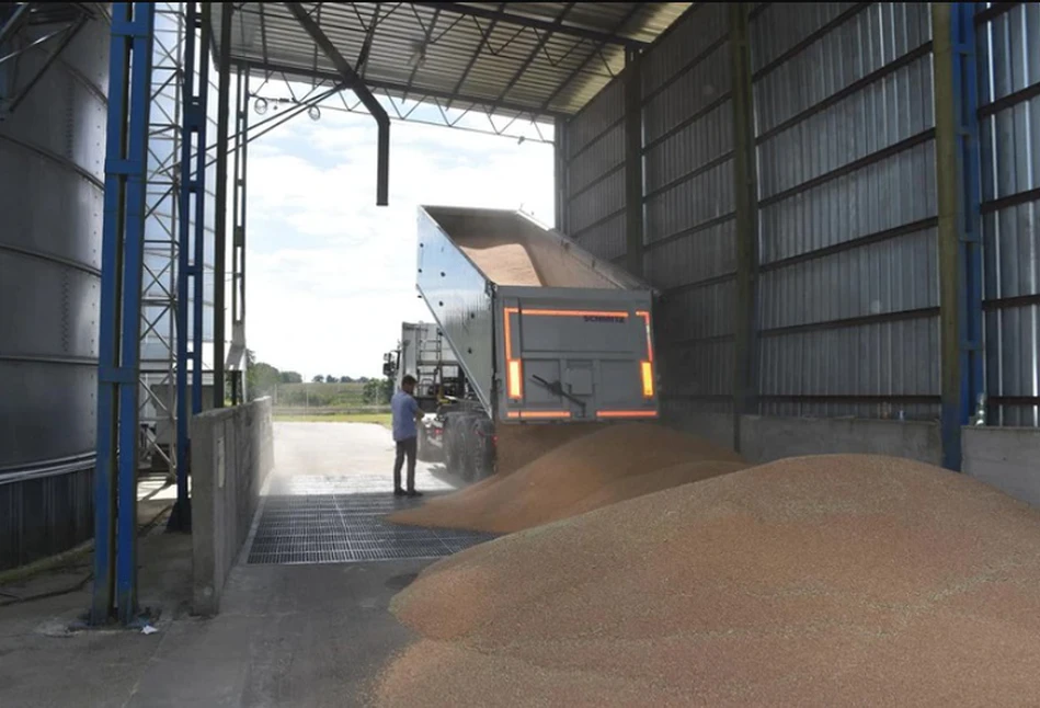 Będą dopłaty dla rolników w związku z nadmiernym importem zbóż z Ukrainy?