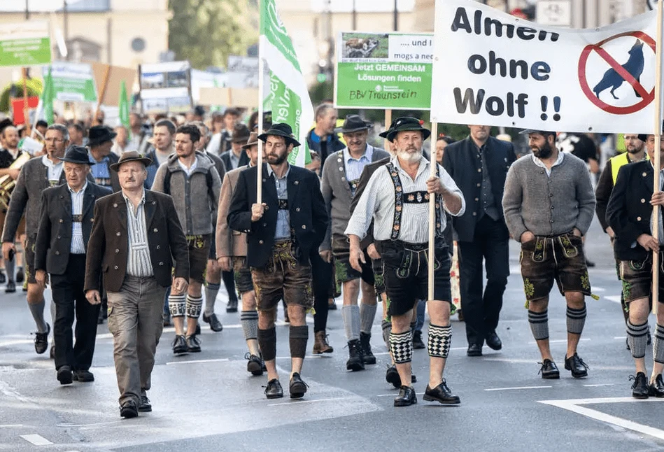 Niemcy: tysiące rolników protestowało przeciwko wilkom