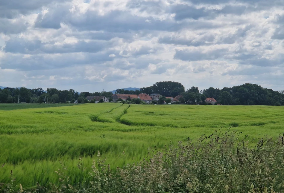 Będą zmiany w Planie Strategicznym. Czy rolnicy nie poniosą kar z tytułu złożenia wniosku po terminie?