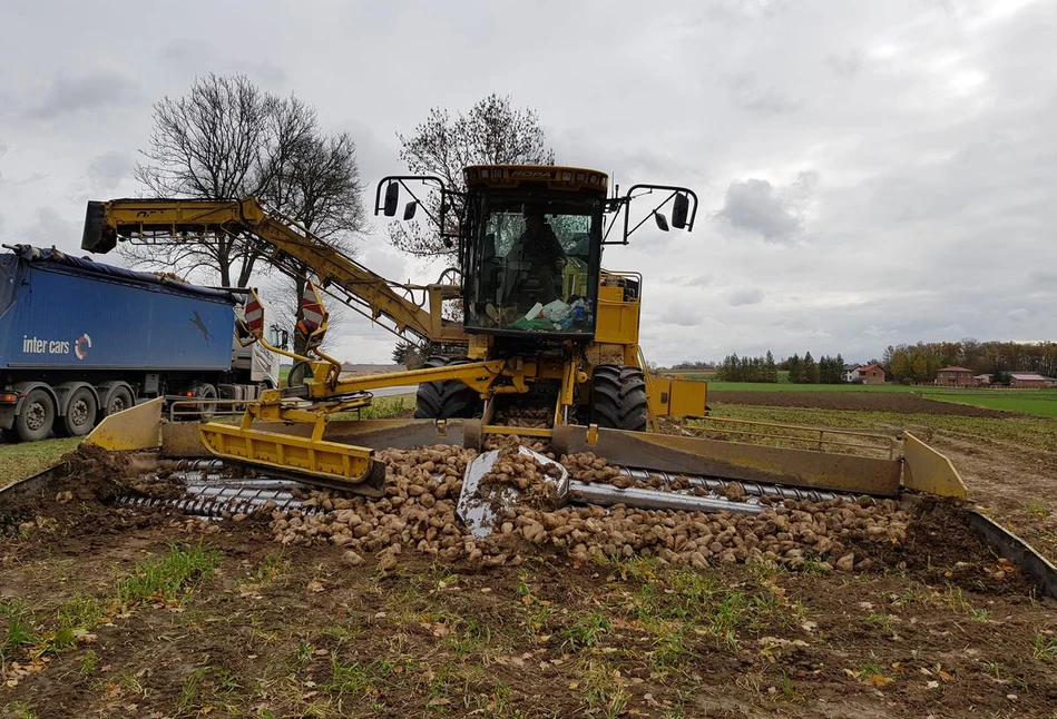 Rolnik spod Lublina: buraki cukrowe najbardziej opłacalną uprawą w sezonie