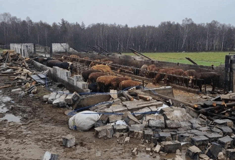 Niż Nadia: tysiące interwencji strażaków, jedna osoba nie żyje