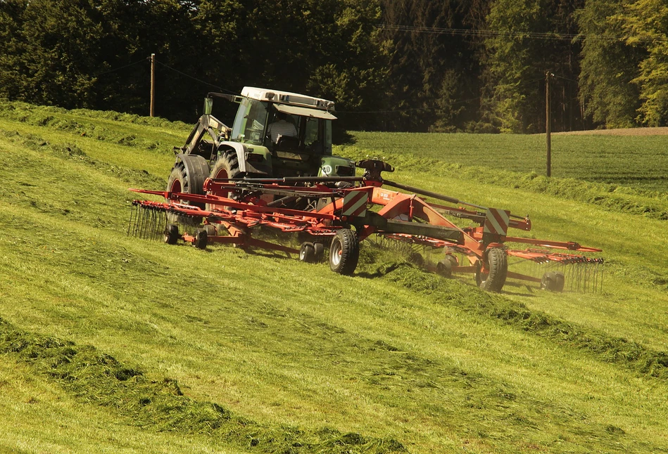 Nawet 13 tys. zł/ha dotacji na zadrzewienia śródpolne. Dla kogo i na jakich warunkach?