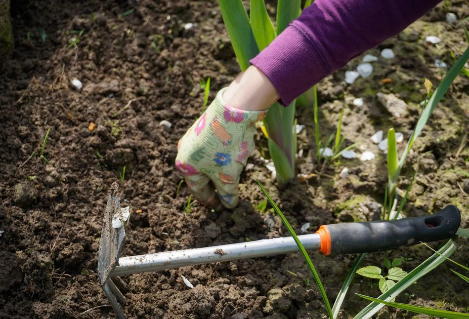 Wiosna czas start! Kalendarz biodynamiczny na kwiecień 2023