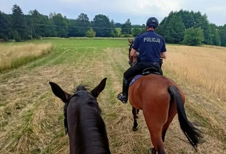 Policjanci na koniach chcą chronić pola przez fanami off-roadu