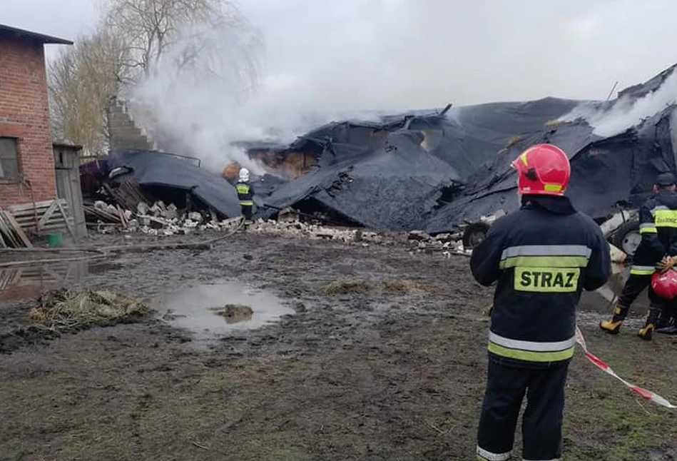 36-latka podpaliła gospodarstwo, żeby zatrzeć ślady zabójstwa 3-tygodniowej córeczki