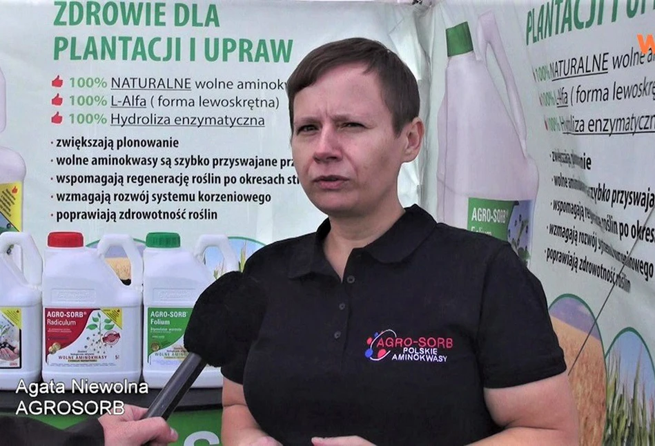 Naturalne aminokwasy od AGRO-SORB do uprawy ogórka