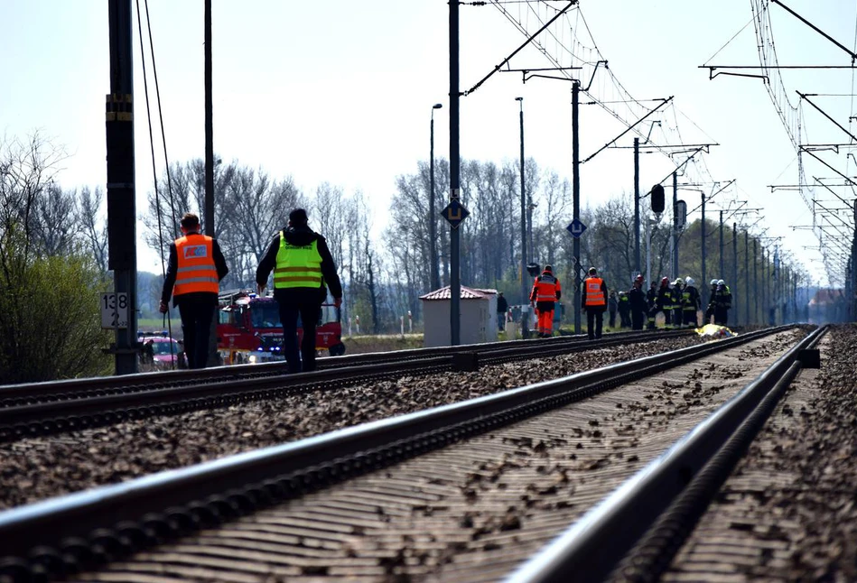 Makabryczny wypadek na Mazowszu. Krowa zmasakrowana przez pociąg