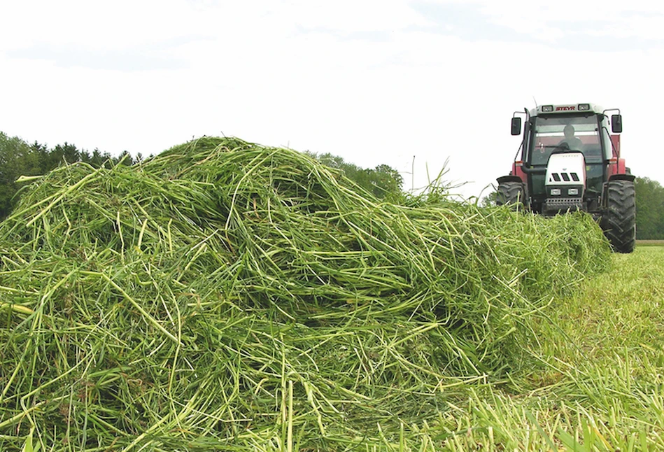 Przepis na idealną sianokiszonkę