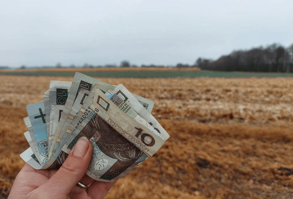 Dopłaty bezpośrednie będą wyższe. Rząd chce wprowadzić dodatkową płatność uzupełniającą!