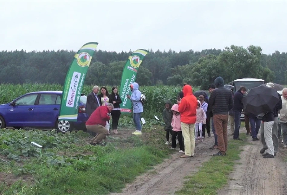 PNOS - dla plantatora, który ceni sobie doskonałą jakość i plon