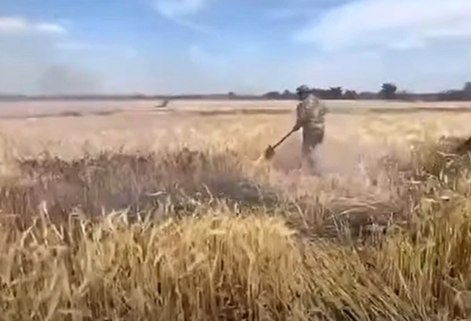 Putin chce powtórzyć Wielki Głód. Zrzuca na ukraińskie zboże pociski zapalające [WIDEO]