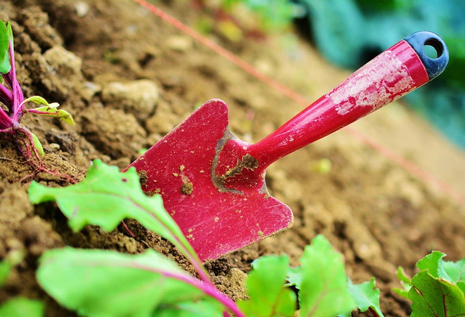 Kalendarz biodynamiczny na kwiecień 2021