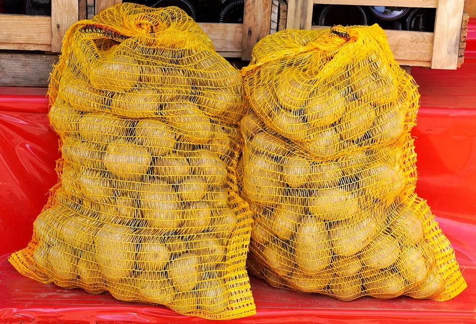 Dramat rolników. Sprzedają ziemniaki po 30 gr/kg, a rząd chce im pomóc… kredytem