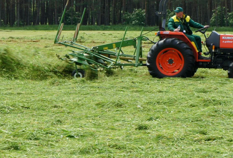 Kiedy kosić pierwszy pokos trawy, aby zebrać pasze dobrej jakości?