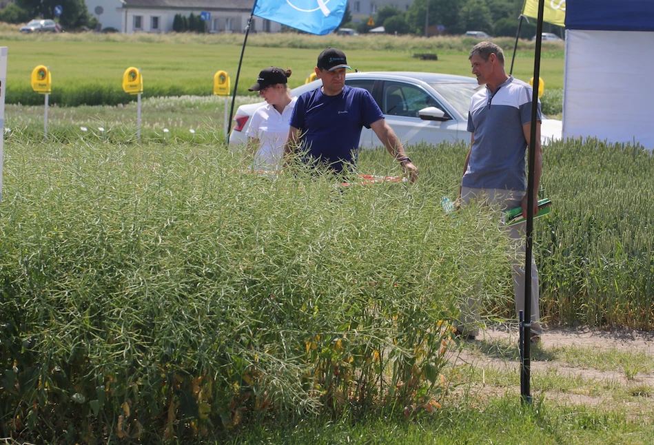 Minikowo w słońcu i upale, ale zwiedzający dopisali