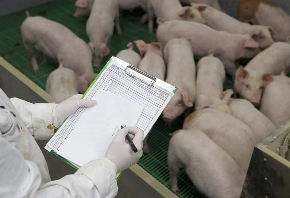 Nowe przepisy dotyczące bioasekuracji już od listopada!