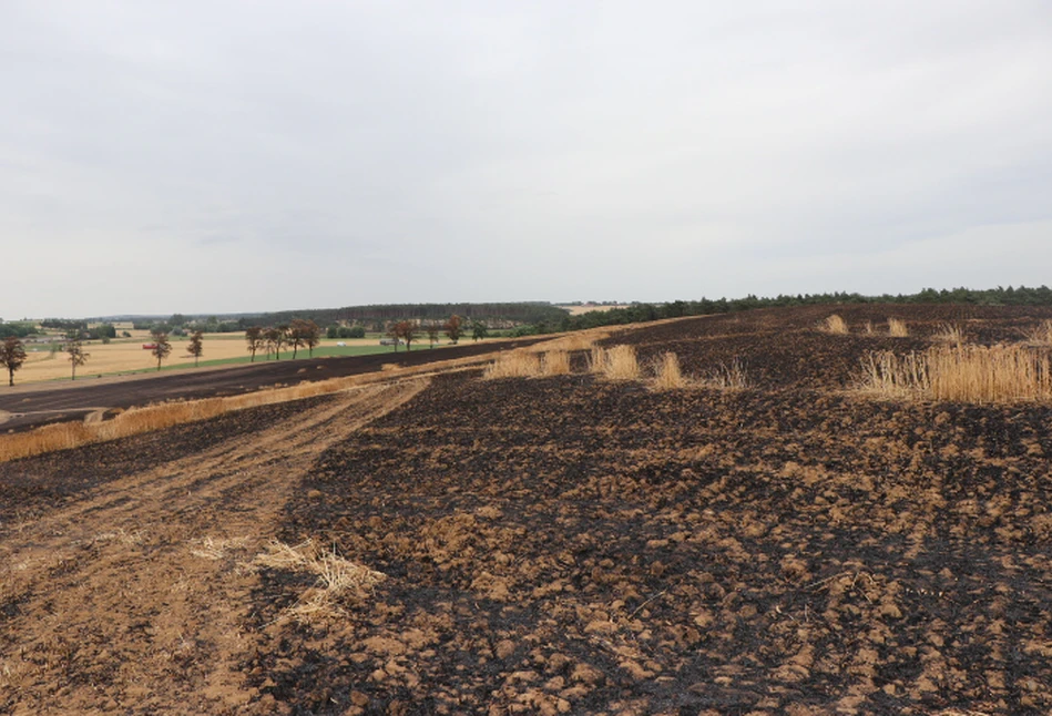 Pożar pod Gostyniem – straty idą w setki tysięcy złotych!