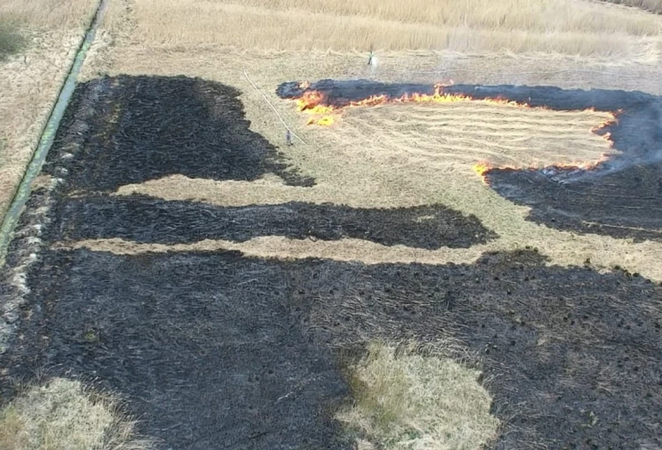 Policyjny dron namierzył podpalaczy traw - teraz grożą im surowe kary (FILM)