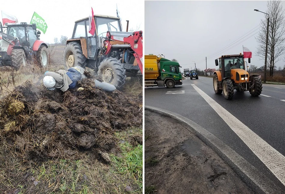 Protest AGROunii: rolnicy rzucili kukłę ministra rolnictwa na hałdę obornika. "Ceny kukurydzy spadły do 400 zł/t" [FOTO, WIDEO]