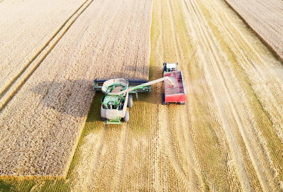 Będą o wiele niższe zbiory zbóż. Jak to wpłynie na ceny?