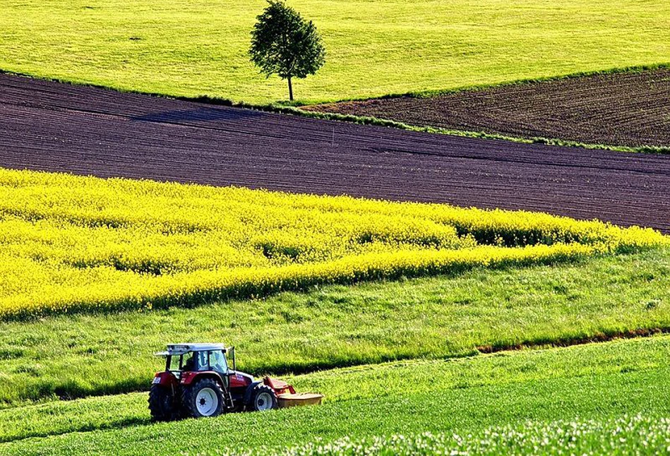 W tym roku rolnicy mogą produkować na ugorach. Czy mimo to dostaną płatność za zazielenienie?