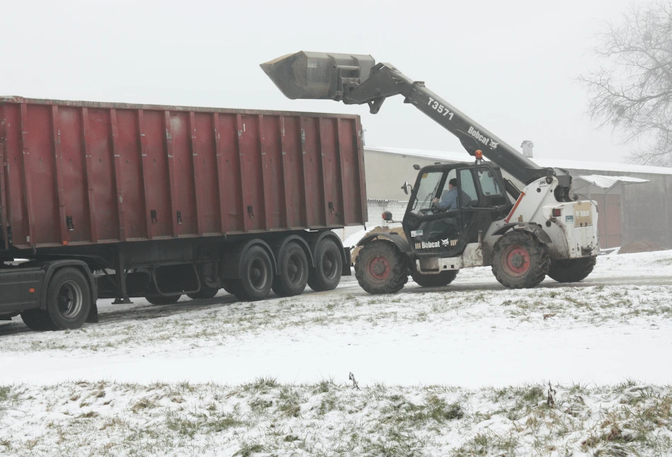 Zima zakłóca handel, drożeją zboża paszowe