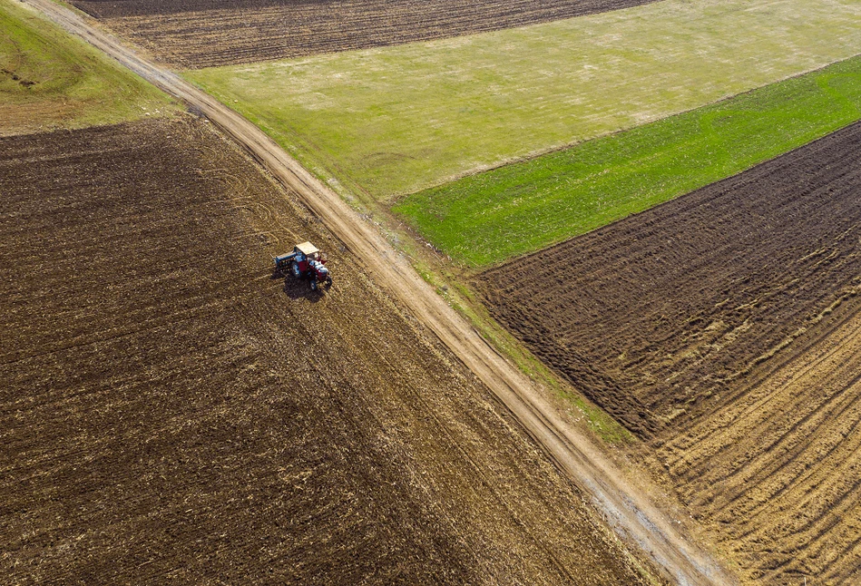 Ile gruntów rolnych z zasobów Skarbu Państwa leży odłogiem? Rolnicy chcą ziemi pod dzierżawy