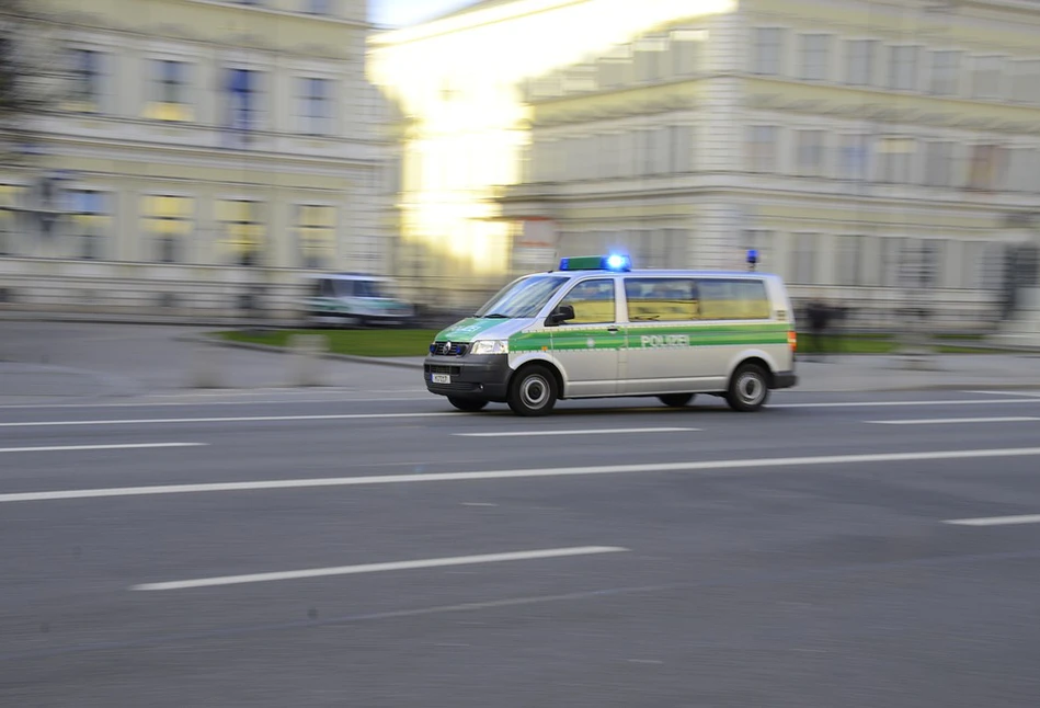 Pół tony mięsa skażonego ASF w rumuńskim aucie w Niemczech