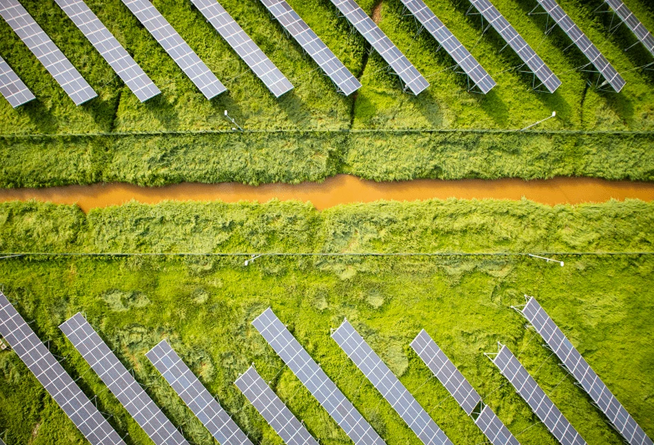 Załamanie na rynku zielonych certyfikatów i koniec zielonej transformacji?