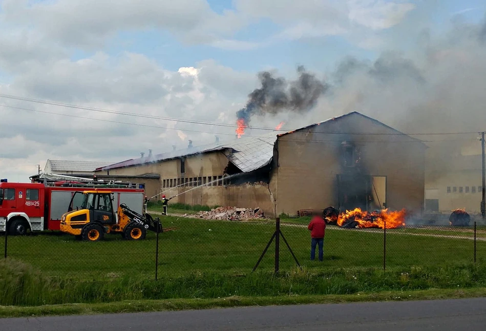 Ogromny pożar owczarni. Zginął 62-letni pracownik gospodarstwa